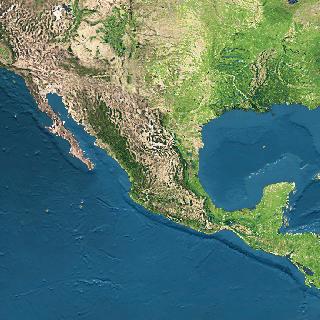 14959.jpg (28114 bytes)